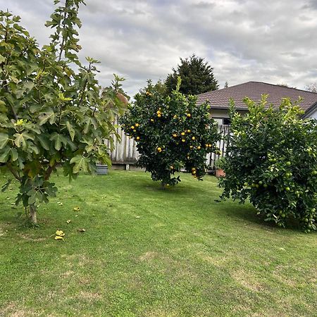 Matamata Exterior foto