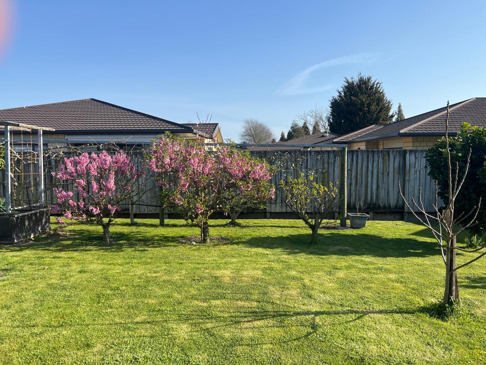 Matamata Exterior foto